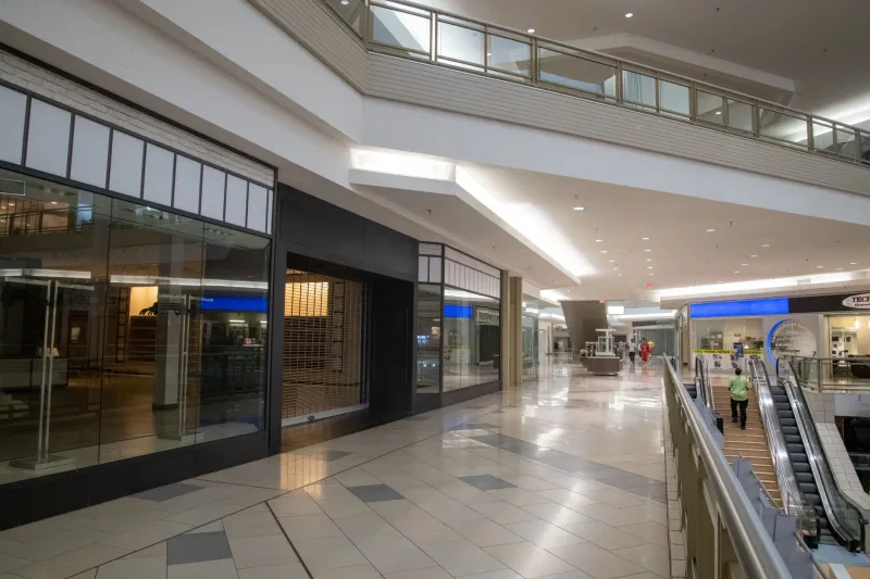 What's Underfoot Shapes What's Ahead: How Tampa Businesses Are Using Epoxy Floor Color to Direct Customer Behavior